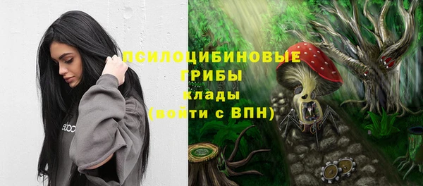 крисы Лиски