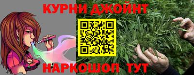 гашик Балахна