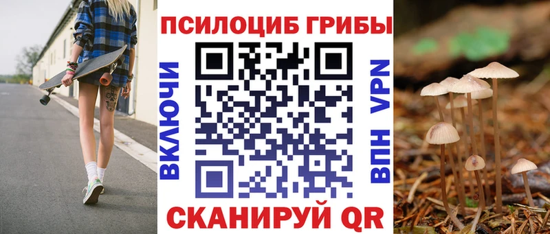 купить наркоту  Армавир  Галлюциногенные грибы прущие грибы 