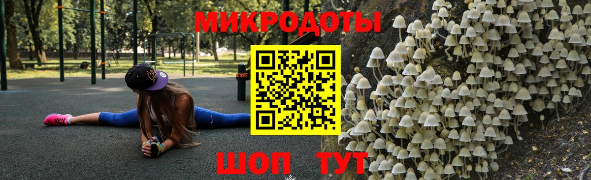 Галлюциногенные грибы Psilocybine cubensis  Армавир  Псилоцибиновые грибы MAGIC MUSHROOMS 