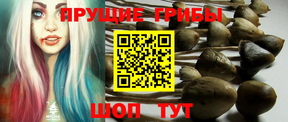 Псилоцибиновые грибы MAGIC MUSHROOMS Армавир