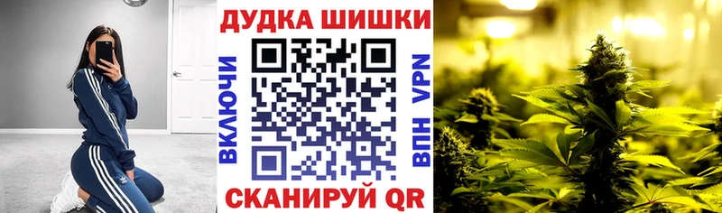 Каннабис сатива  где купить наркоту  Армавир 